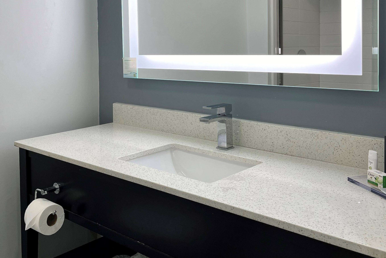 Bathroom 4, Wingate by Wyndham Indianapolis Airport-Rockville Rd., Indianapolis