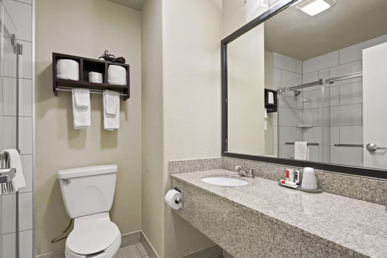 Bathroom 4, Baymont By Wyndham Henderson-Northeast Denver, Adams