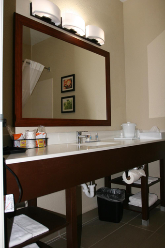 Bathroom 4, Comfort Inn Wichita Falls Near University, Wichita