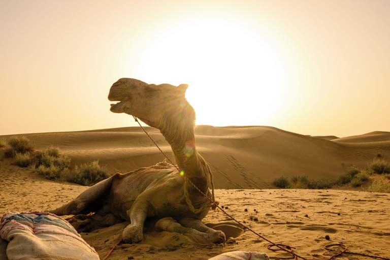 Others 5, Heaven in desert, Jaisalmer