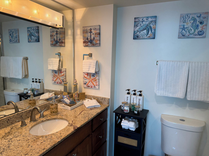 Bathroom 3, Luxury in the sky, Lee