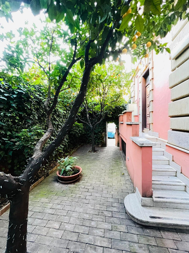 Others 5, Orange Garden B&B, Roma