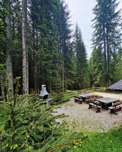 Others 5, Forest Apartments POKLJUKA, Bohinj