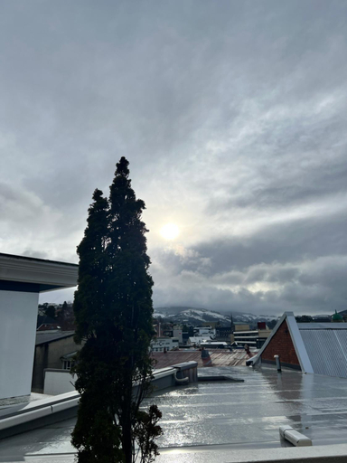 Exterior & Views, On Top Backpackers, Dunedin