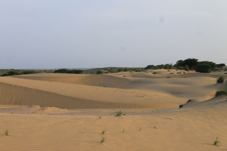Others 3, Heaven in desert, Jaisalmer