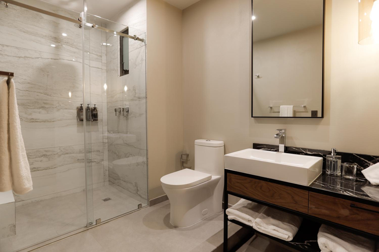 Bathroom 4, Punta Alameda, Mexico City