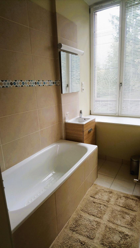 Bathroom 4, Chambres d'hotes au Chateau Leon, Territoire de Belfort