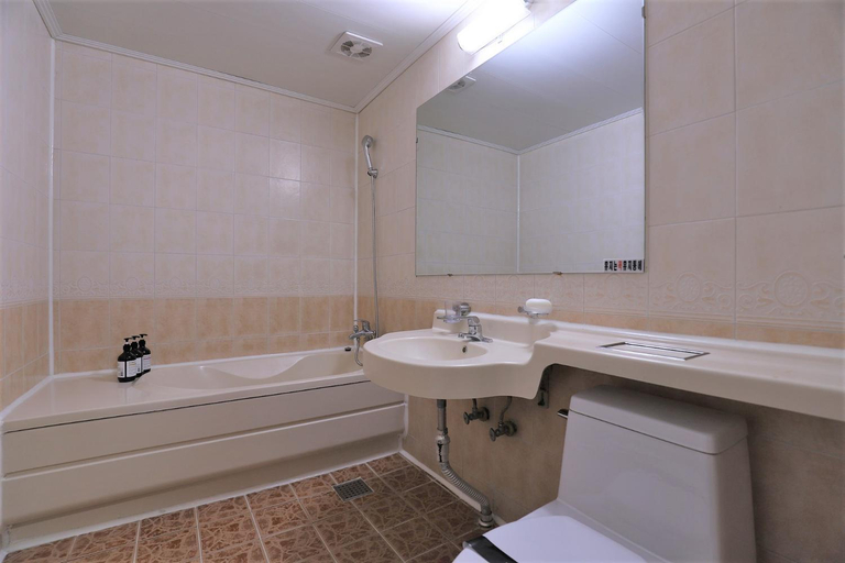 Bathroom 4, Hani Motel, Yuseong