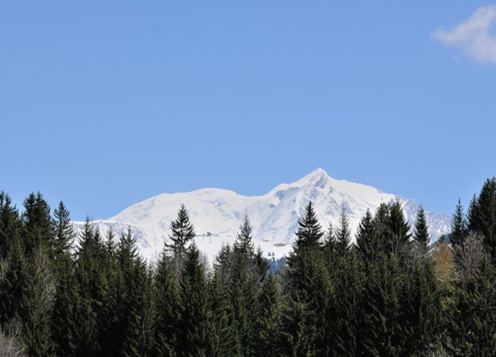 View from property 3, Wood & Stone Alpine Luxury, Haute-Savoie