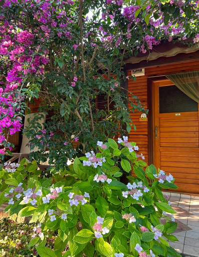 Exterior & Views 2, Myland Nature Hotel, Kemer