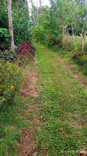 Others 4, Farmer villa, Salem