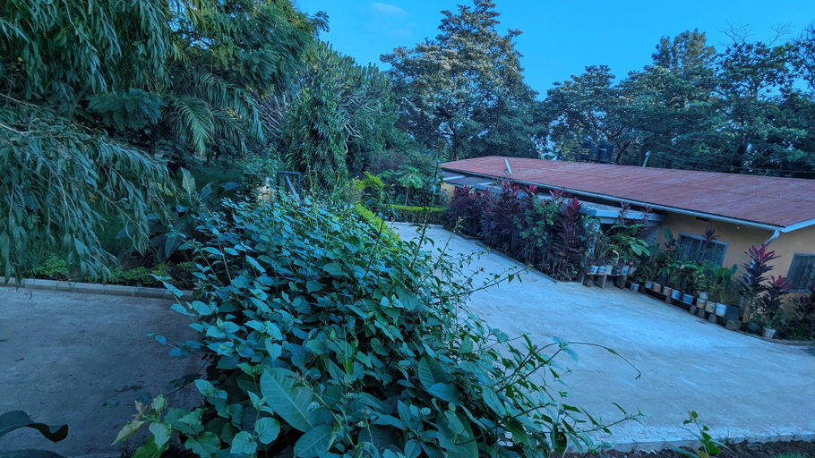 Others 2, jacaranda homestay, Moshi Urban