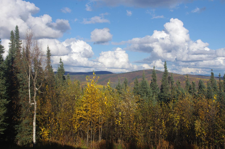 Others 5, Aurora Viewing Deck and Peaceful Retreat, Fairbanks North Star