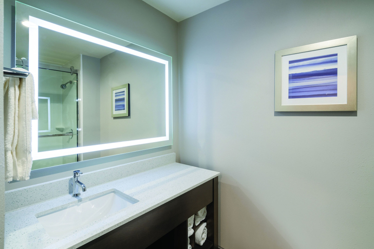 Bathroom 4, La Quinta Inn & Suites by Wyndham Opelika Auburn, Lee