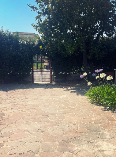 Others 4, B&B La Ginestra, Napoli