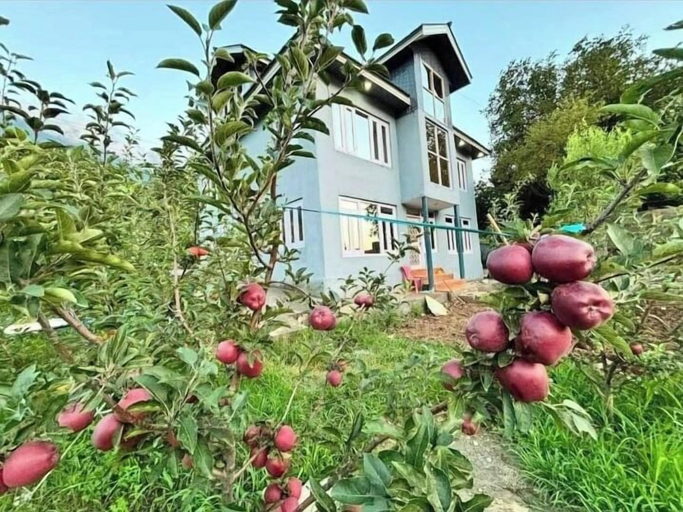 Others 4, Tavisha River View Orchard Pahalgam, Anantnag