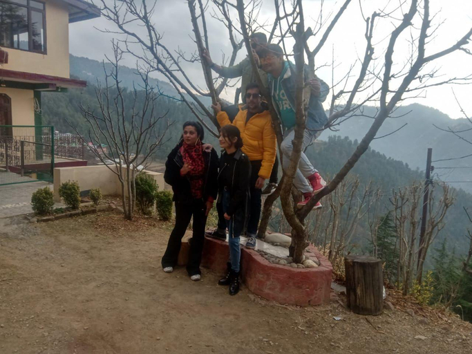 Others 5, Vasutvan Homestay, Shimla