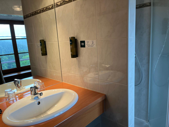 Bathroom 4, Logis Hotel & Restaurant - Les Vosges, Moselle