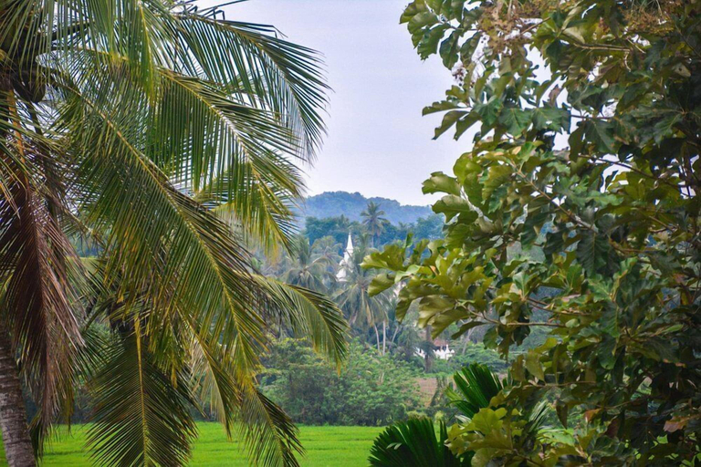 Others 3, Mami Resort, Beliatta