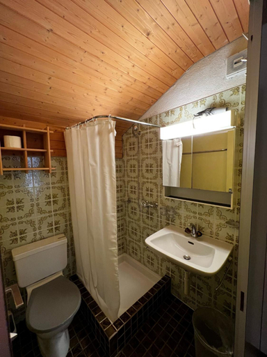 Bathroom 3, Hotel Pez Ault, Surselva