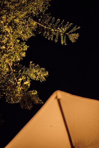 Bedroom 3, Glamping Sunset Hill, Salamina