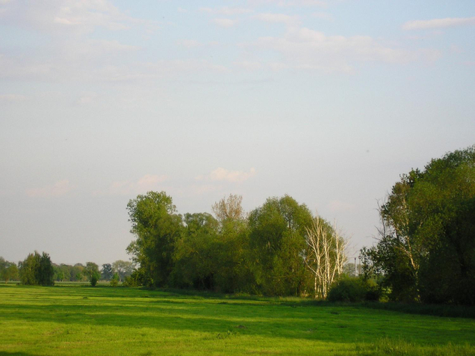 Others 4, Parkhotel Schonewalde, Elbe-Elster