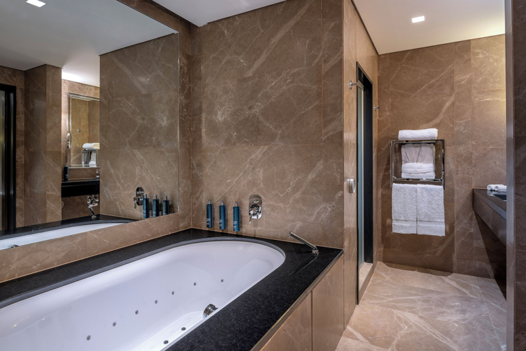 Bathroom 5, Hilton Turin Centre, Torino