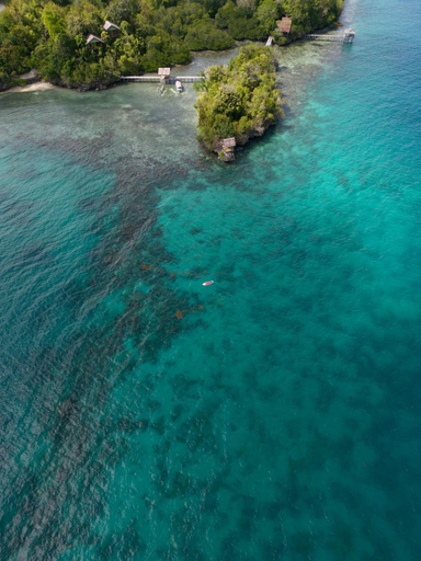 Others 3, Araya Dive Resort Togean, Tojo Una-Una