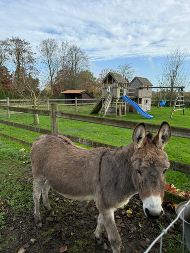 Others 4, Hoeve Chartreuse, West-Vlaanderen
