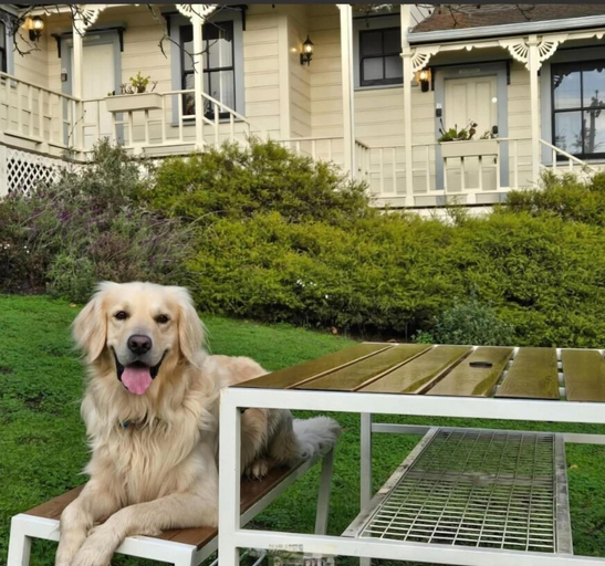 Exterior & Views 2, Dennen's Victorian Farmhouse, Mendocino