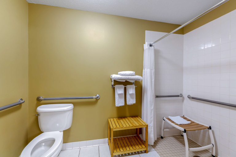 Bathroom 4, Best Western Falcon Plaza - Bowling Green, Wood