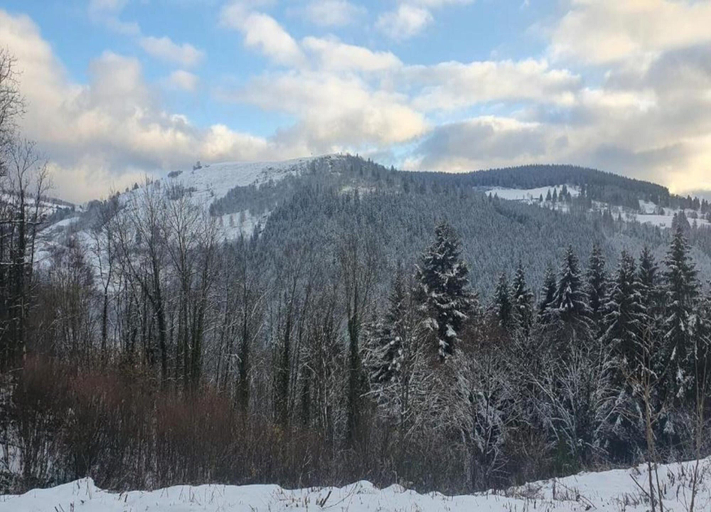 View from property 4, Chalet in La Bresse With Valley Views, Vosges