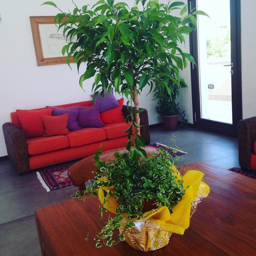 Others 4, Moresco Resort, Agrigento