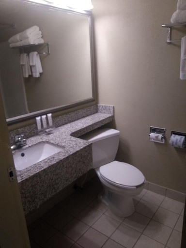 Bathroom 3, Country Inn & Suites by Radisson, Kalamazoo, MI, Kalamazoo