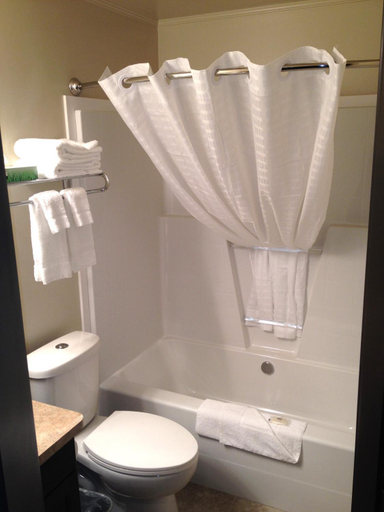 Bathroom 2, Chateau All Suites Hotel, Division No. 13
