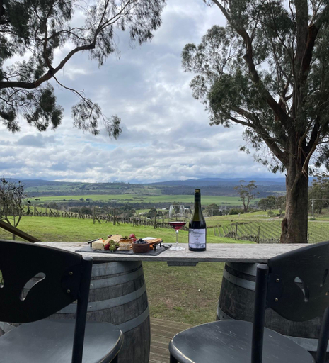 Food and beverages 4, Bundaleera Vineyard and Farm Stay, Launceston - Pt B