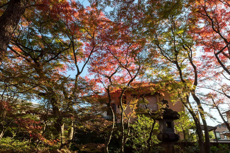 Others 4, Garden Villa Denshin-An , Kyoto
