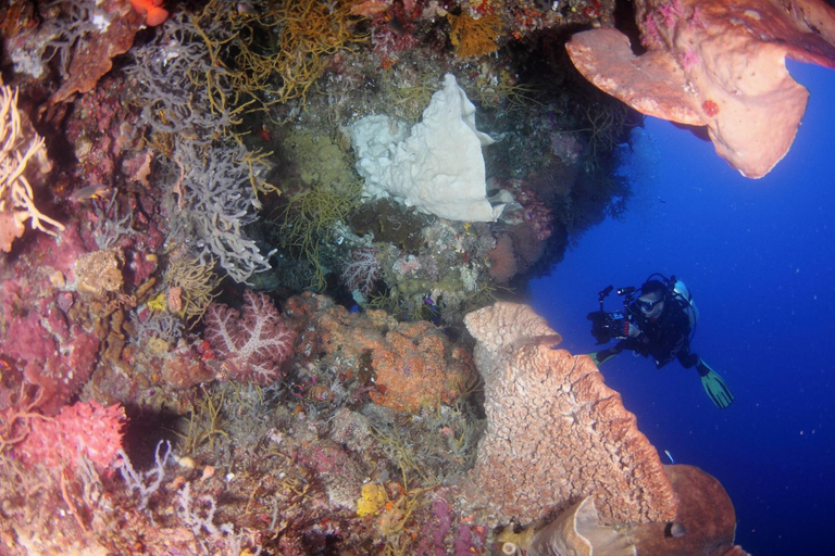 Others 5, Araya Dive Resort Togean, Tojo Una-Una