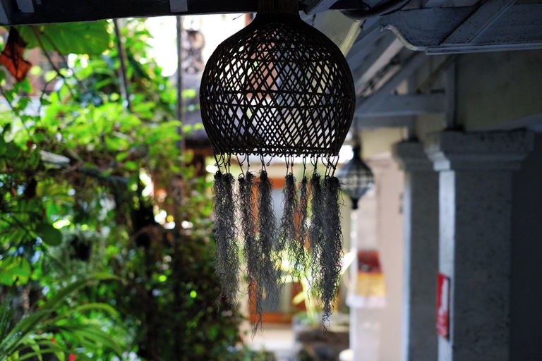 Others 4, Su's Cottages, Badung