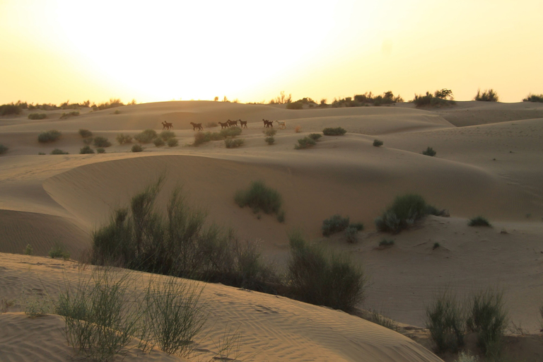 Others 4, Heaven in desert, Jaisalmer