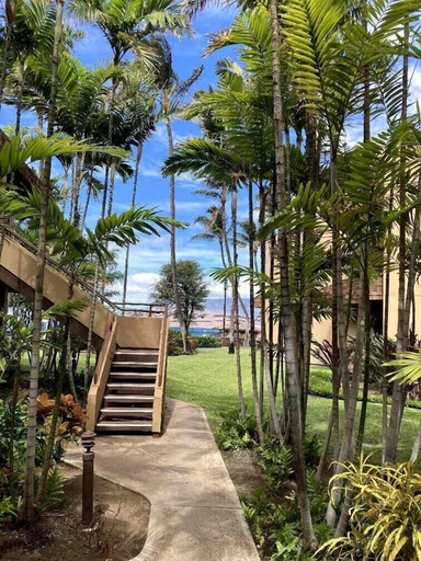 Others 4, Kamaole Beach Club, Maui