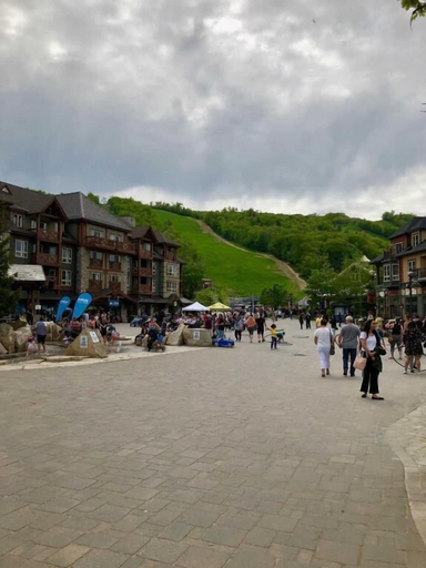 Others 4, Mountainside Resort Condo at Blue, Grey