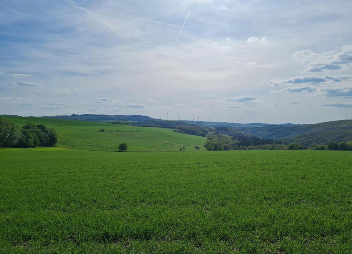 View from property 3, Ferienwohnung Eifelruhe in Filz, Cochem-Zell