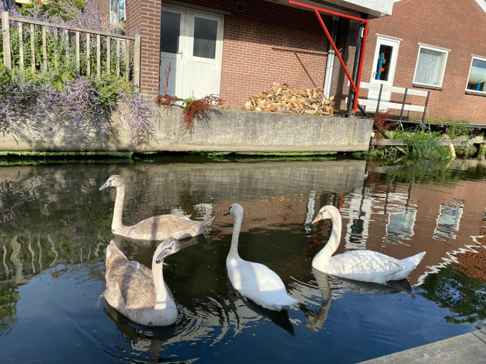 Others 4, Pakhuis Prins, Zaanstad