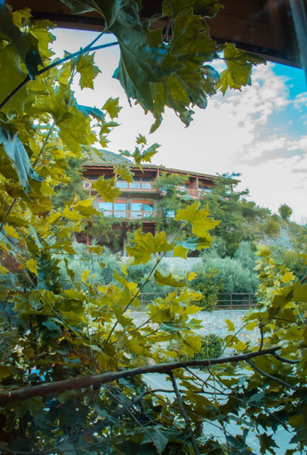 Others 5, Nature House, Shkodrës