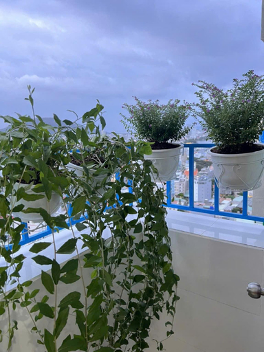 Others 4, Thuý Hạnh Hotel, Vũng Tàu