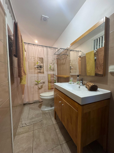 Bathroom 4, Fare Arana