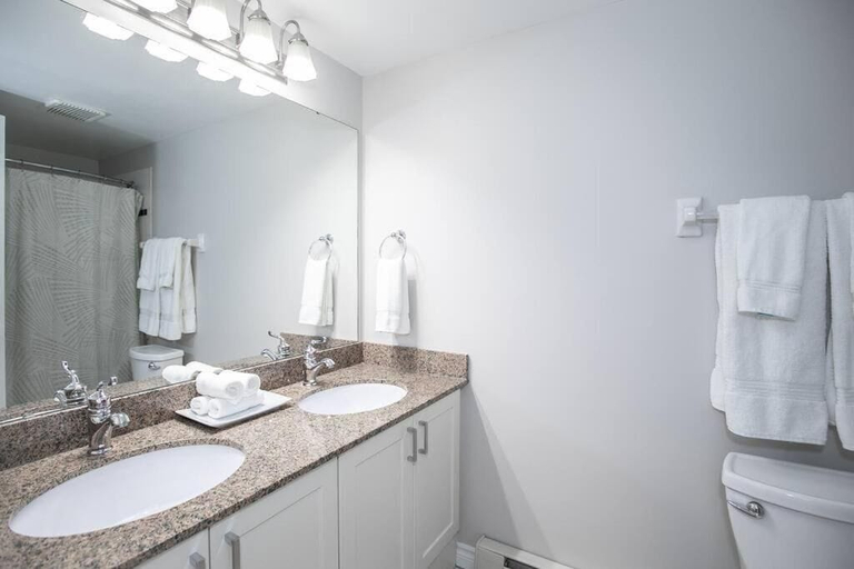 Bathroom, Slopeside Sanctuary, Grey