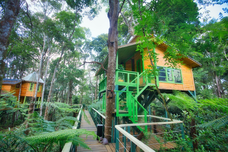 Exterior & Views 1, Mang Đen Treehouse Village Resort & Zipline, Kon Plông