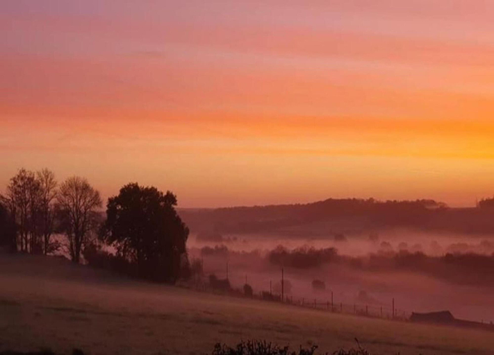 View from property 5, Pet Friendly Villa in Elsenborn, Liège